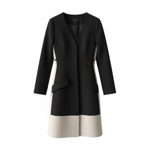 Judith & Charles Tailored Sheath Dress Linen Panel Hidden Placket Minimalist Sz4